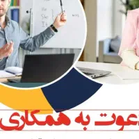 سرمایه گذار