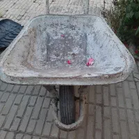 فرغون