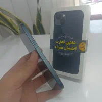 iphone 13 normal|موبایل|کرج, کوی امامیه|دیوار