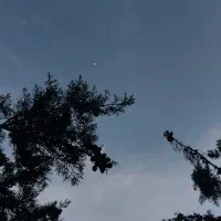 سیم کارت
