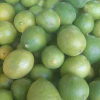 آبلیموی طبیعی مشیری