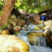 تور ۲روزه  دیدنهای کاشان آقا علی عباس.قم.جمکران