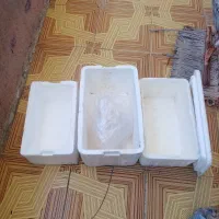3عددفوم درشهرچمران