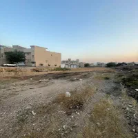 زمین
