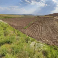 اجاره زمین کشاورزی