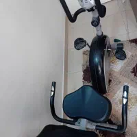 دوچرخه|دوچرخه، اسکیت، اسکوتر|رشت, چله خانه|دیوار