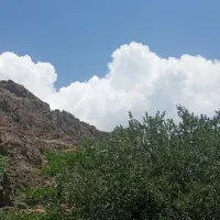 خط تلفن ثابت رند