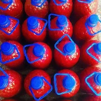 رب خانگی|خوردنی و آشامیدنی|خمین, |دیوار
