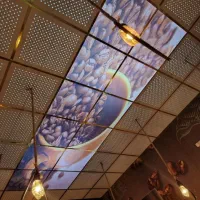 اجرای سقف های کاذب تایل پنل دیوار پوش کناف