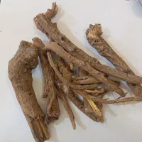 پخش عمده و خرده ریشه کاسنی وحشی و ریشه شیرین بیان