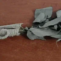 فال تاروت و پاسور (ورق)