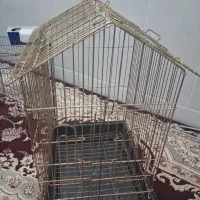 پرنده و قفس