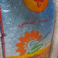 تخمک جامبو و النعیم