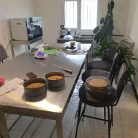 استخدام نیرو خانم در کارگاه قنادی