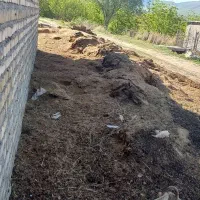 کود حیوانی