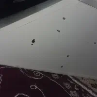 هودت|هود|امامزاده عبدالله, |دیوار