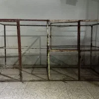 قفس
