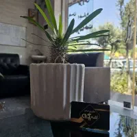 پیش-فروش-60-متری-بلوار-کارگر-مهدیشهر