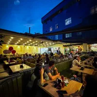 هاست سالنکار ویتر صندوقدار ویترس کارآموز بار