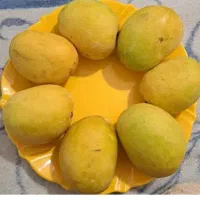 انبه میناب.