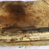 کتاب قدیمی بیش از 100 سال قدمت