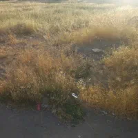 ۶۰متر زمین تجاری با ابعا۱۰×۶بلوارفردوسی