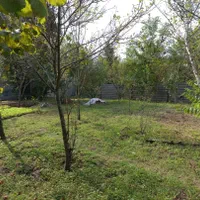 ویلاباغ ۲۰۰۰متری/۱۷۰متر بنا/برآسفالت/۴ خواب|فروش خانه و ویلا|رشت, بلوار گیلان|دیوار