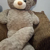 خرس بزرگ
