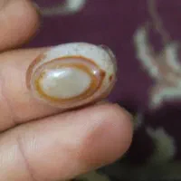 نگین سلیمانی