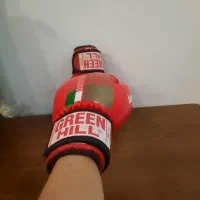 دستکش بوکس و ووشو