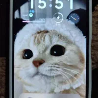 گوشی Poco x3 Gt|موبایل|زابل, |دیوار