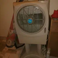پنکه رابو
