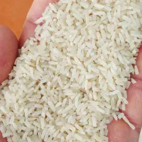 سرلاشه معطر فجر گرگان با پخت عالی ( کالابرگ)