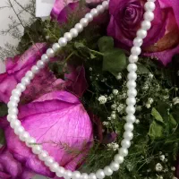 بدلیجات قیمت پایین