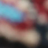 پوکو ام تر پرو فایوجی