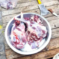 فروش گوشت کهره کیلویی ۱۴۰۰