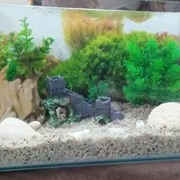 آکواریم شیشه خم