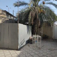 نخل