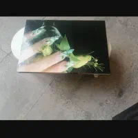 زیردستی ناخن و آلبوم ناخن