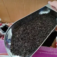 چای سیلان