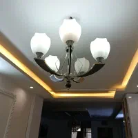 لوستر درحد تو