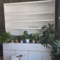 قفسه رگال ویترین