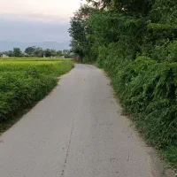 زمین باغی