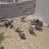 35000