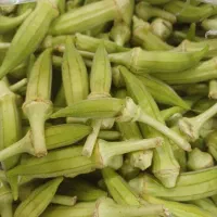 بامیه درجه یک شادگان
