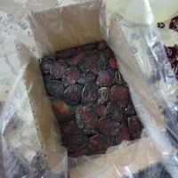 خرمای درجه یک کبکاب اهرم