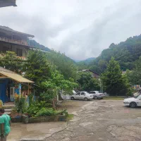 اقامت رایگان درجنگل سوادکوه