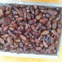 خرما اسعمران صادراتی
