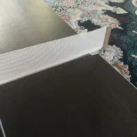 پینگ پتگ