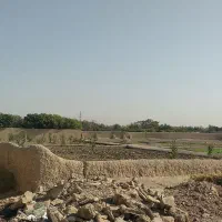 زمین باغی
